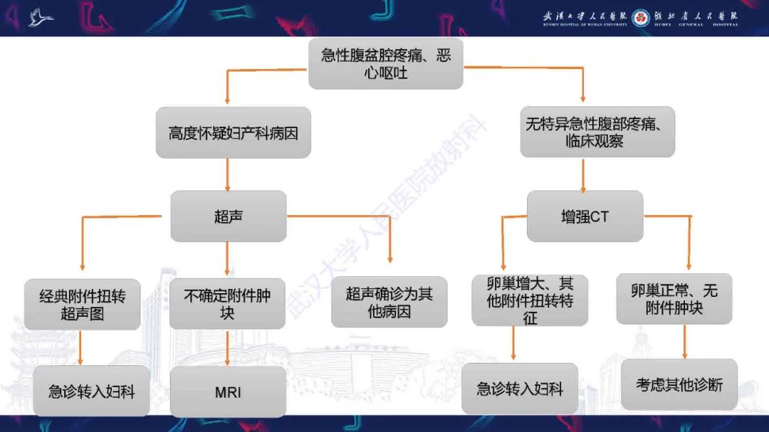 影像PPT - 【PPT】附件扭转影像诊断-14