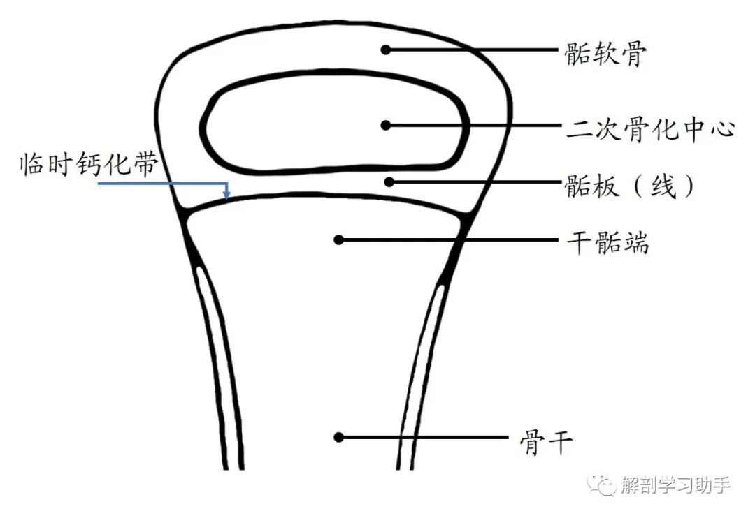 影像PPT - \ 影像PPT - \