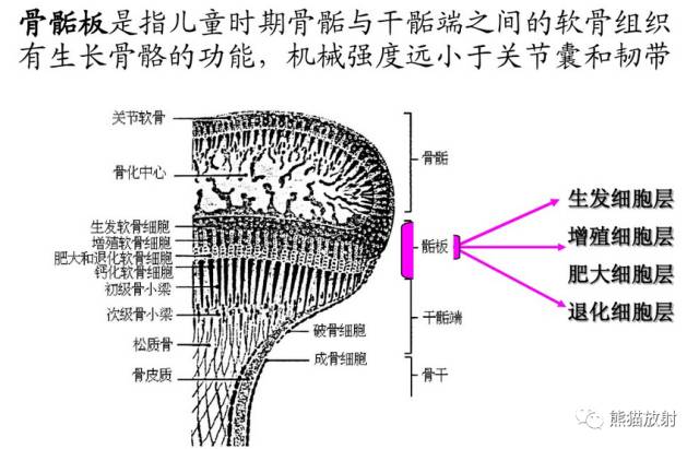 影像PPT - \ 影像PPT - \