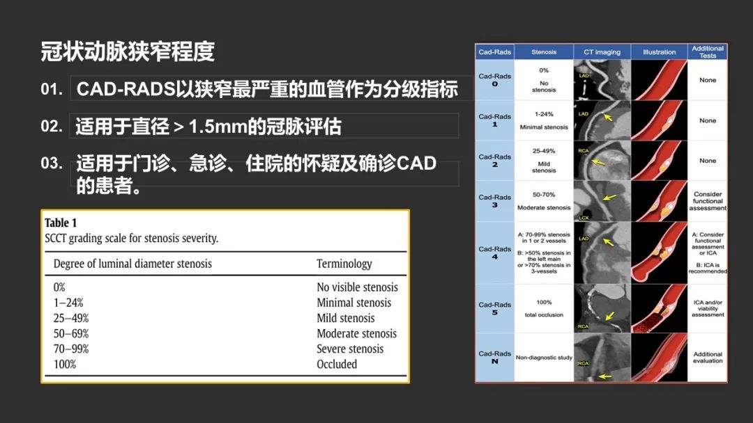 影像PPT - 【PPT】冠脉CAD-RADS分级系统解读-6