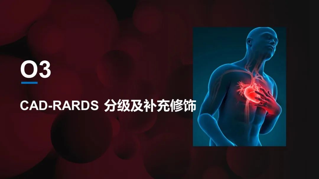 影像PPT - 【PPT】冠脉CAD-RADS分级系统解读-12
