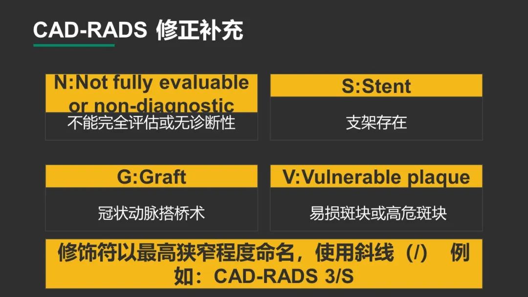 影像PPT - 【PPT】冠脉CAD-RADS分级系统解读-21