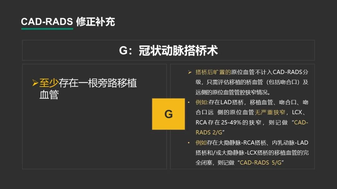 影像PPT - 【PPT】冠脉CAD-RADS分级系统解读-27