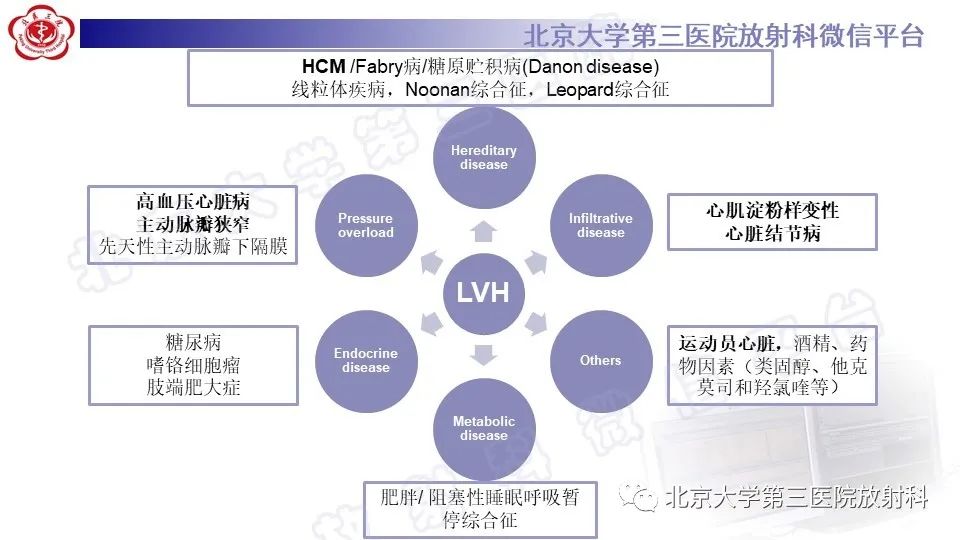 影像PPT - 【PPT】CMR在心肌肥厚中的诊断与鉴别诊断-9