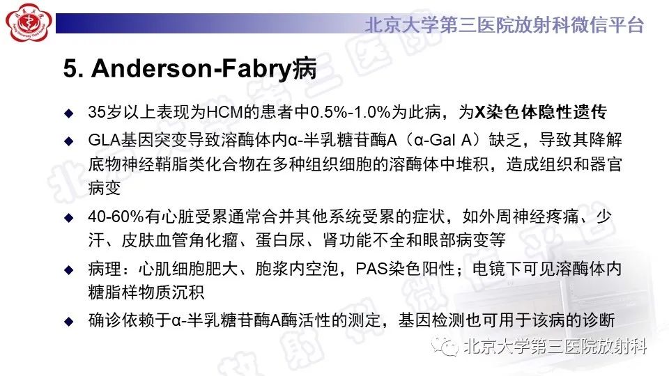 影像PPT - 【PPT】CMR在心肌肥厚中的诊断与鉴别诊断-20