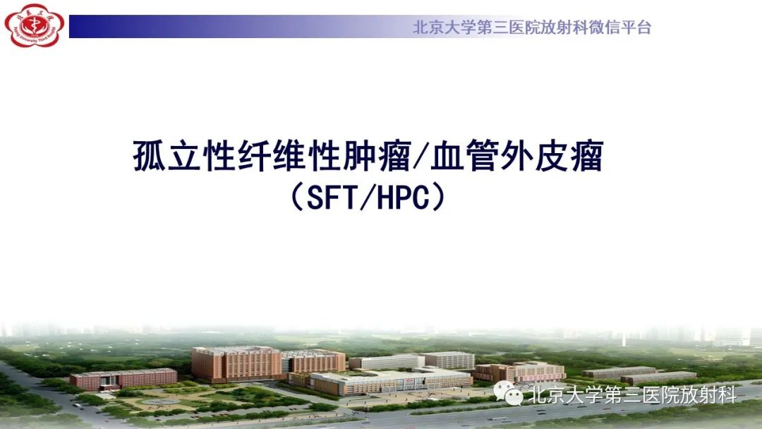 影像PPT - 【PPT】颅内孤立性纤维性肿瘤/血管外皮瘤（SFT/HPC）-10