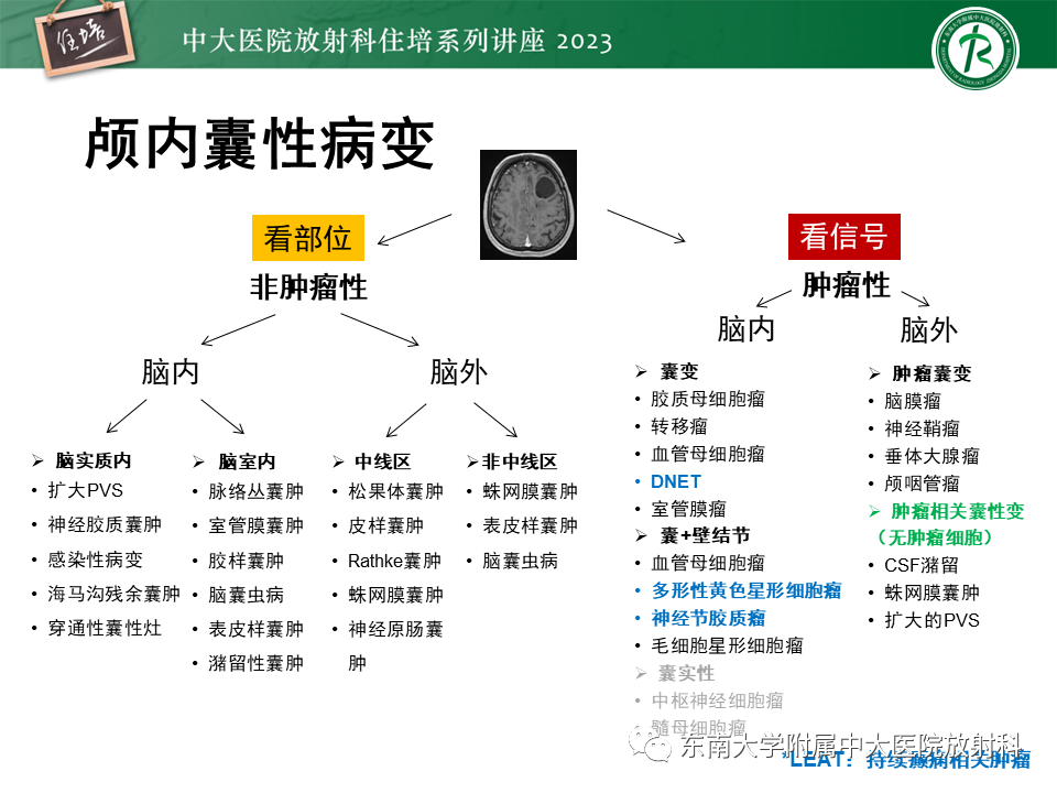 影像PPT - 【PPT】颅内常见肿瘤性囊性病变-2