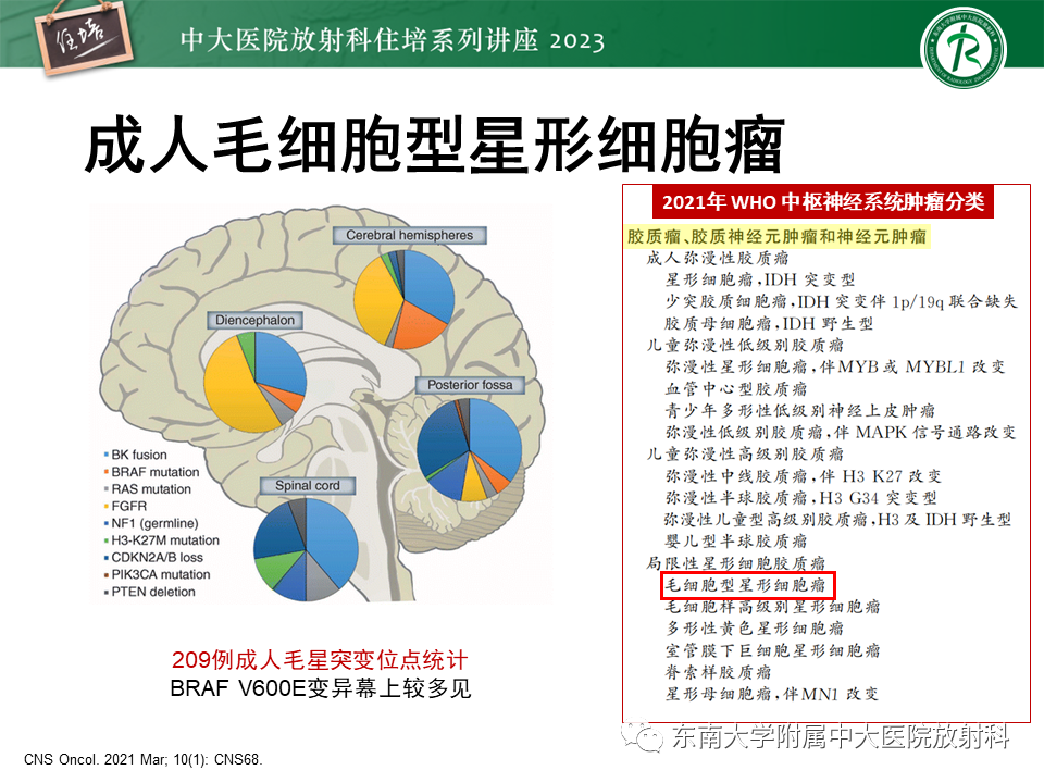 影像PPT - 【PPT】颅内常见肿瘤性囊性病变-17