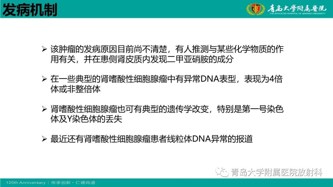 影像PPT - 【病例】肾脏嗜酸性细胞腺瘤1例CT影像-15