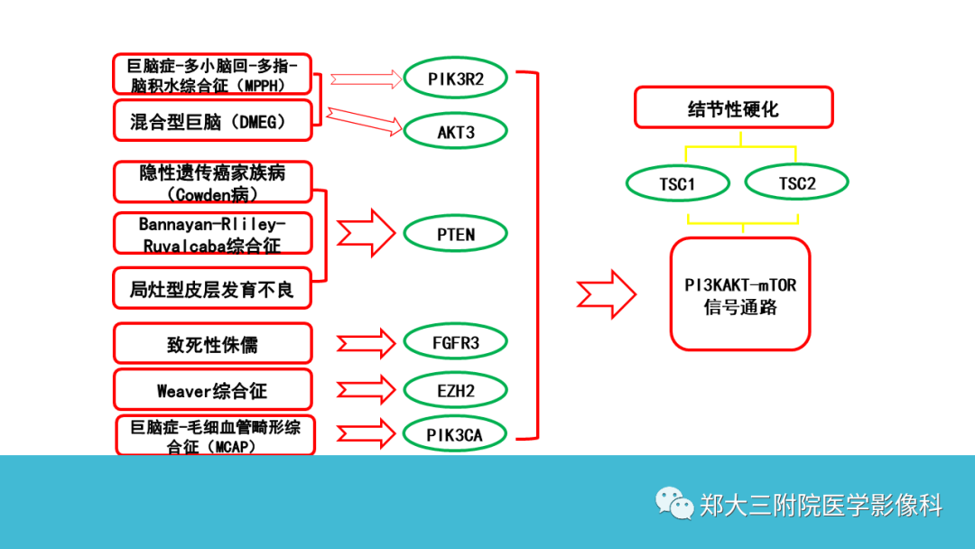 影像PPT - 【PPT】儿童皮层发育畸形影像诊断-5