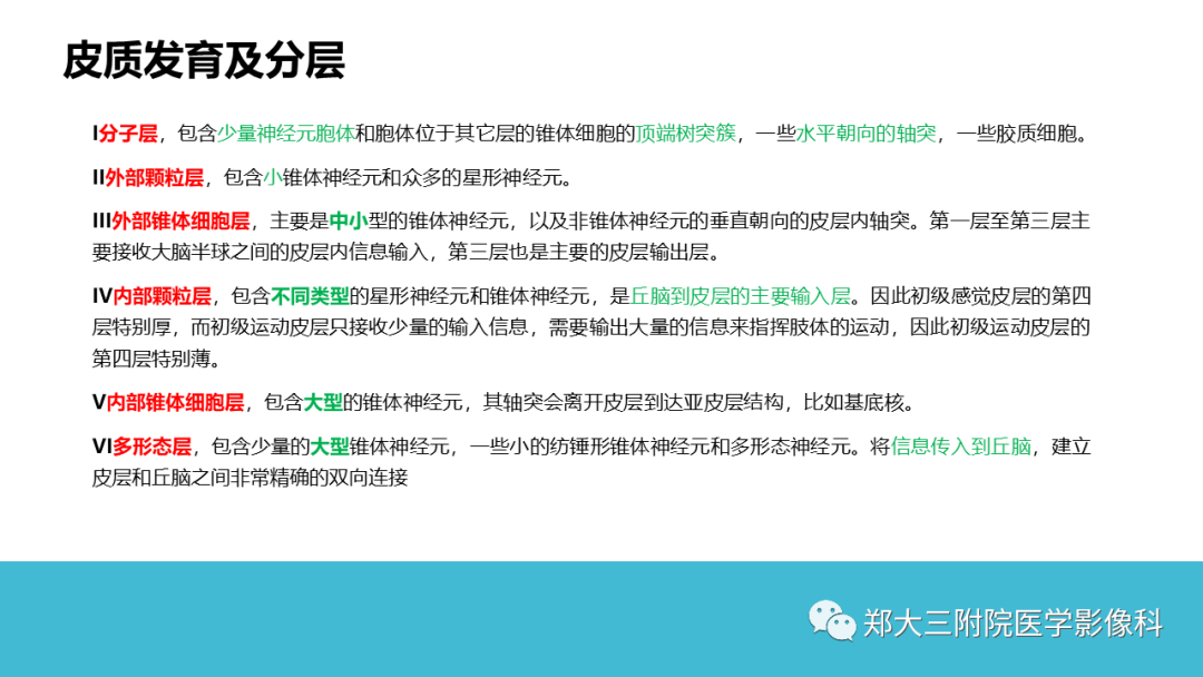 影像PPT - 【PPT】儿童皮层发育畸形影像诊断-9