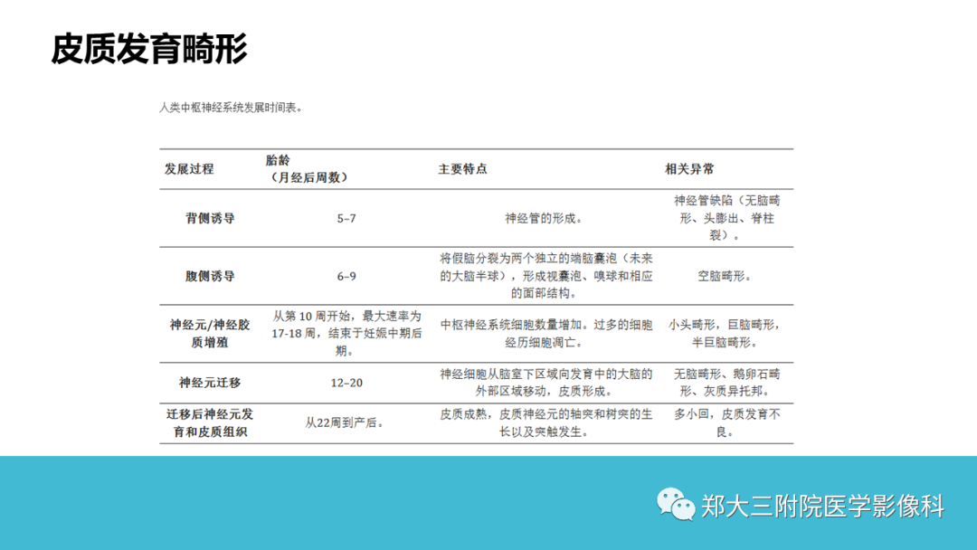 影像PPT - 【PPT】儿童皮层发育畸形影像诊断-14