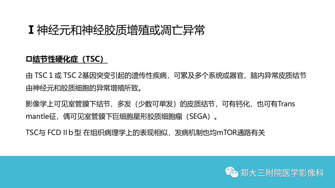 影像PPT - 【PPT】儿童皮层发育畸形影像诊断-24