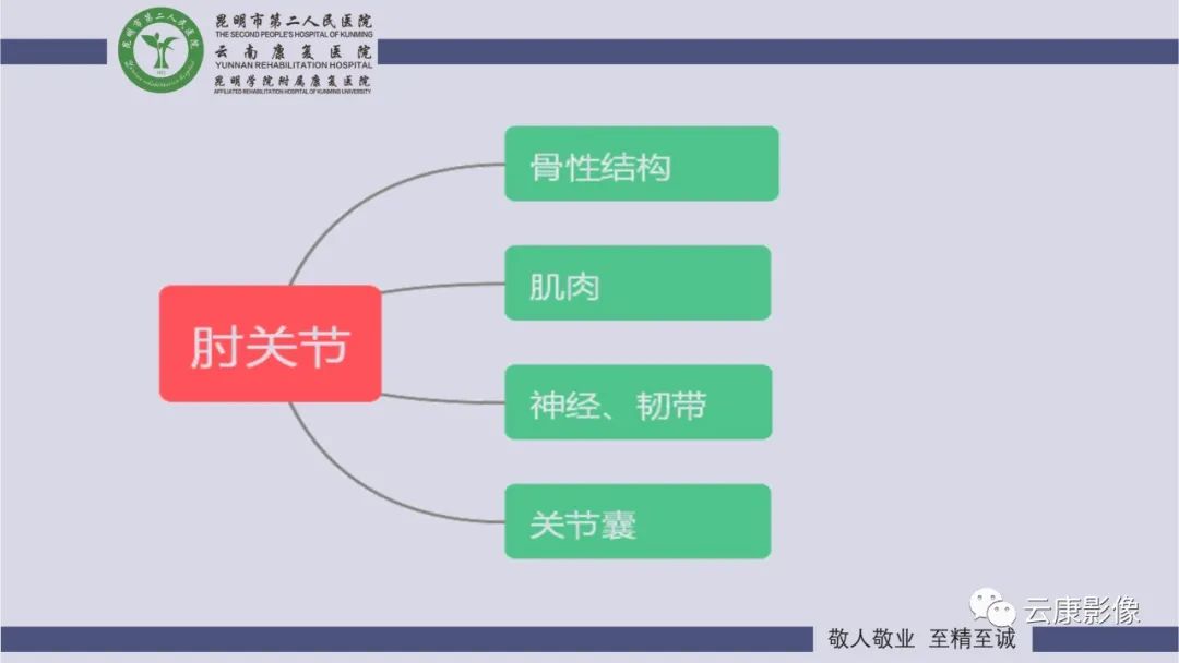 影像PPT - 【PPT】肘关节影像学解剖-3