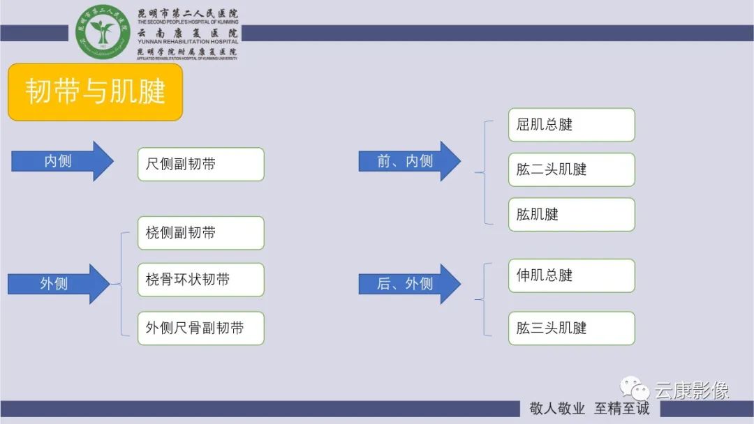 影像PPT - 【PPT】肘关节影像学解剖-20