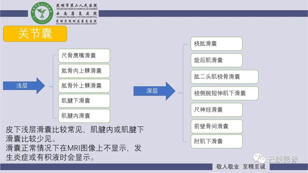 影像PPT - 【PPT】肘关节影像学解剖-31