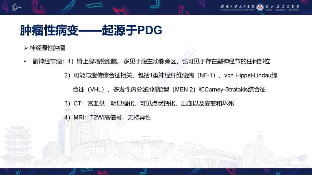 影像PPT - 【PPT】胰十二指肠沟病变影像诊断-13