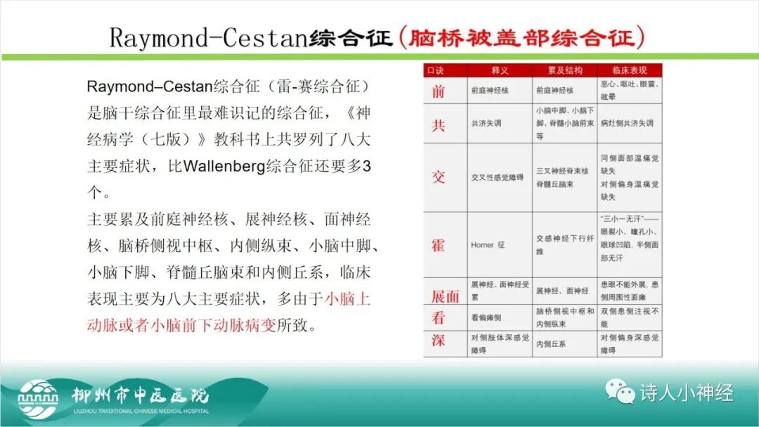 影像PPT - 【PPT】各种脑干梗死综合征临床解剖及影像-45