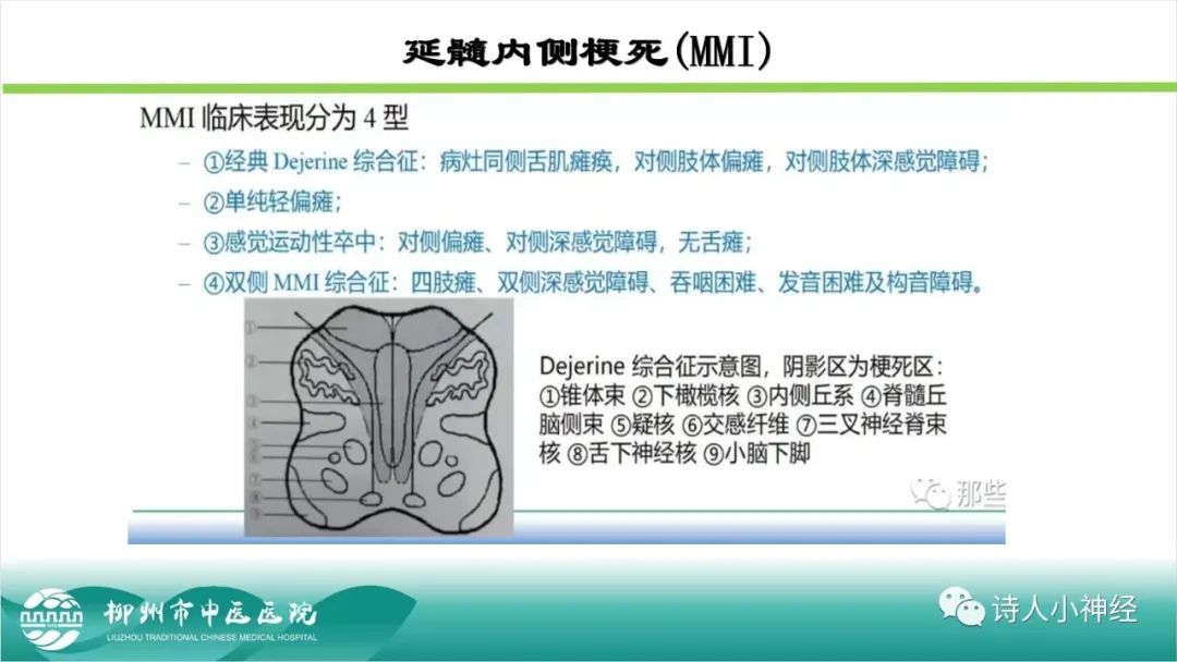 影像PPT - 【PPT】各种脑干梗死综合征临床解剖及影像-78