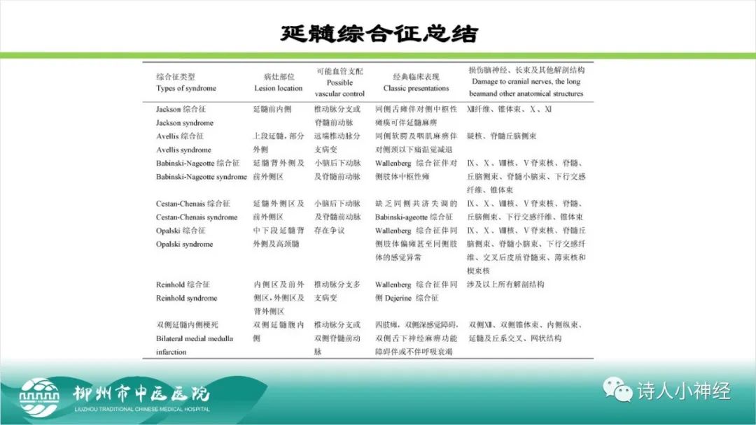 影像PPT - 【PPT】各种脑干梗死综合征临床解剖及影像-117