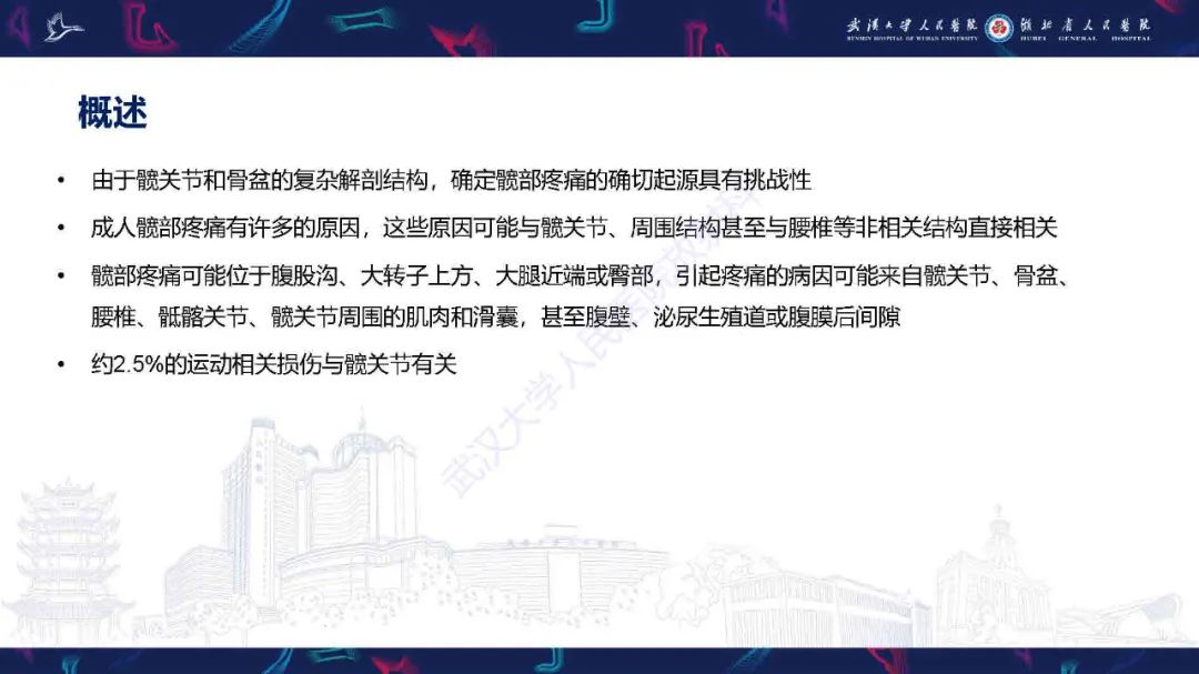 影像PPT - 【PPT】成人髋部疼痛MRI诊断-2