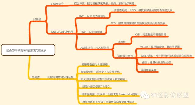 影像PPT - 皮层受累的常见疾病影像学特点及影像学诊断思路-1 影像PPT - 皮层受累的常见疾病影像学特点及影像学诊断思路-1