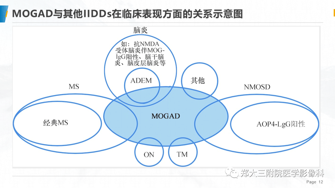 影像PPT - 【PPT】MOG抗体相关疾病-12