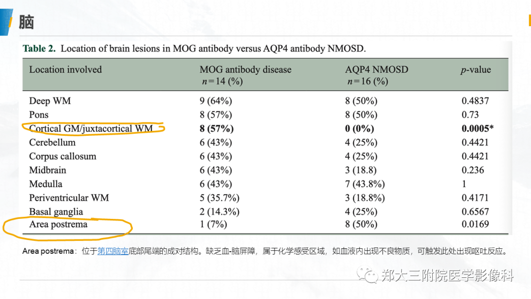 影像PPT - 【PPT】MOG抗体相关疾病-15