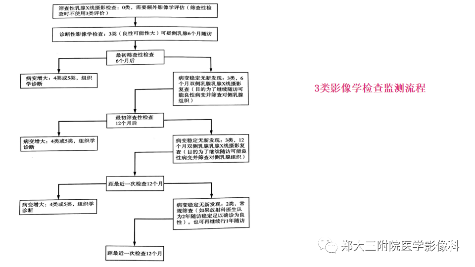 影像PPT - 【PPT】乳腺X线BI-RADS分类解读及常见病X线诊断-38