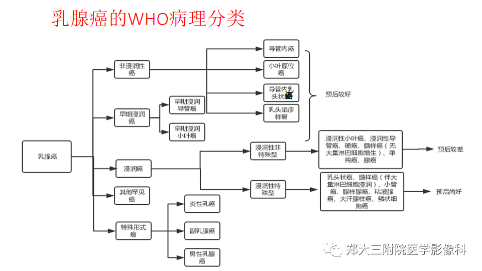 影像PPT - 【PPT】乳腺X线BI-RADS分类解读及常见病X线诊断-91