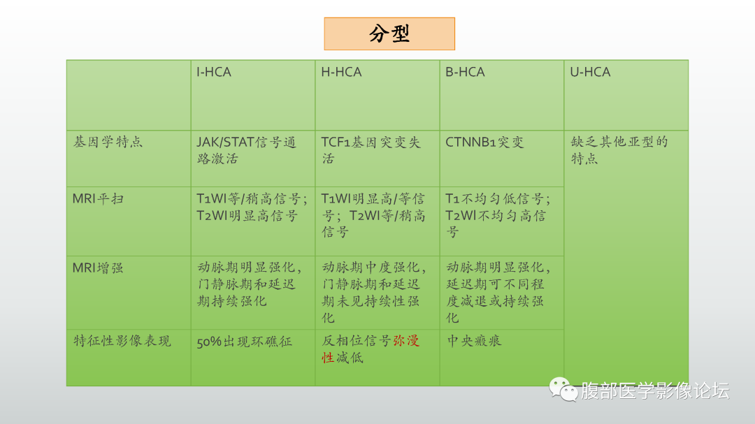 影像PPT - 【病例】肝细胞腺瘤1例CT及MR影像诊断-29