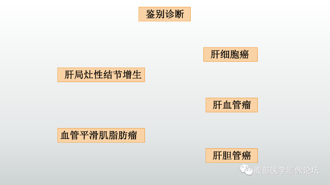 影像PPT - 【病例】肝细胞腺瘤1例CT及MR影像诊断-32