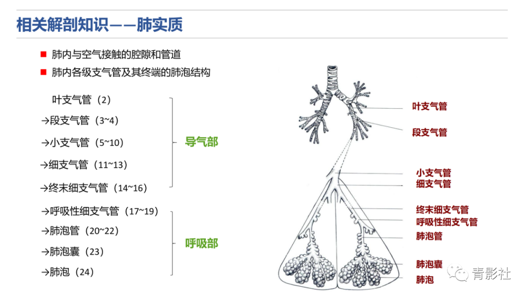 影像PPT - 【PPT】肺水肿的影像诊断-3