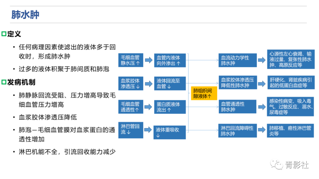 影像PPT - 【PPT】肺水肿的影像诊断-10