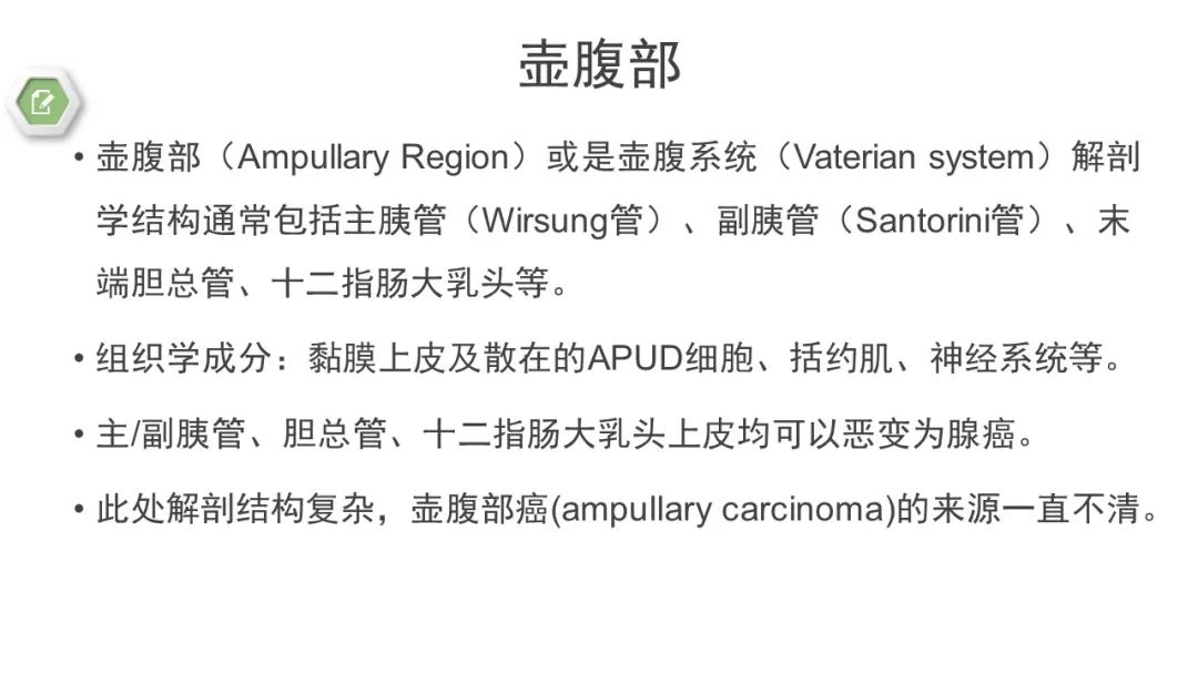 影像PPT - 【病例】壶腹周围癌1例CT影像-21 影像PPT - 【病例】壶腹周围癌1例CT影像-21