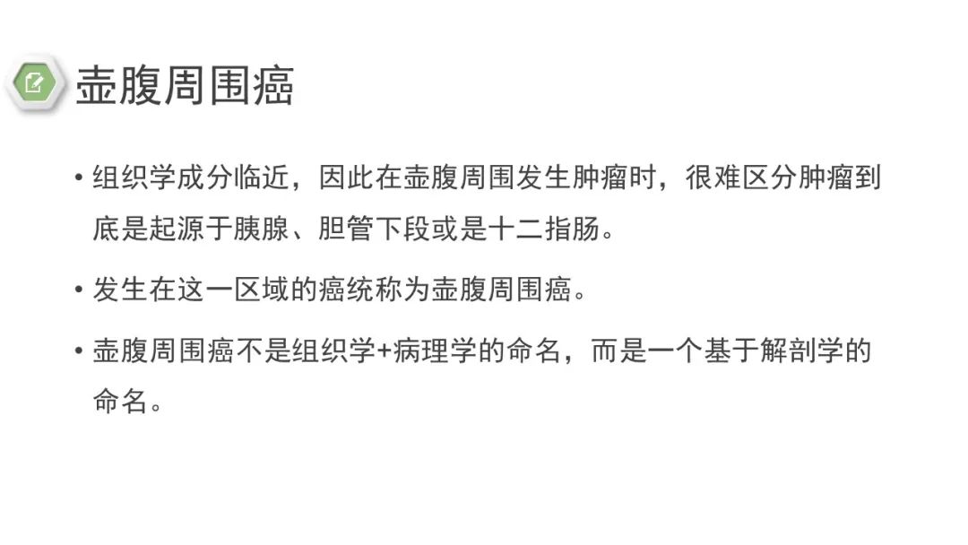影像PPT - 【病例】壶腹周围癌1例CT影像-24 影像PPT - 【病例】壶腹周围癌1例CT影像-24