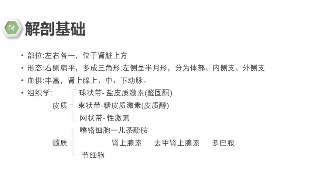 影像PPT - 【病例】肾上腺嗜铬细胞瘤1例CT影像-14 影像PPT - 【病例】肾上腺嗜铬细胞瘤1例CT影像-14