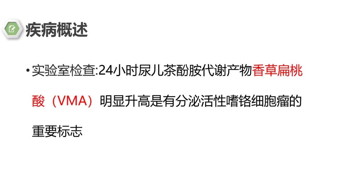 影像PPT - 【病例】肾上腺嗜铬细胞瘤1例CT影像-16 影像PPT - 【病例】肾上腺嗜铬细胞瘤1例CT影像-16