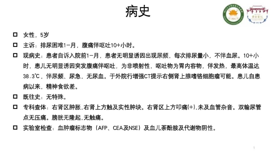 影像PPT - 【病例】腹膜后节细胞神经瘤1例CT影像-1