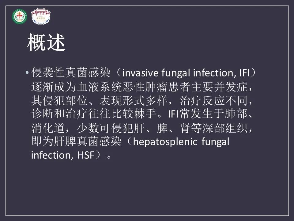 影像PPT - 【病例】肝脏念珠菌病1例CT影像-12