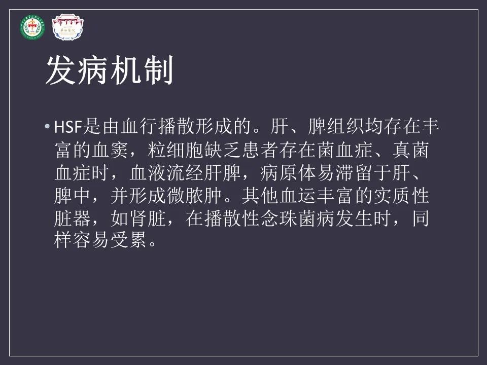 影像PPT - 【病例】肝脏念珠菌病1例CT影像-13