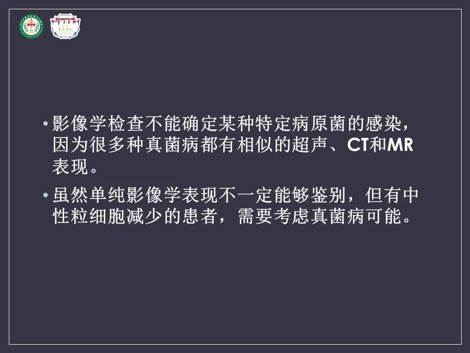 影像PPT - 【病例】肝脏念珠菌病1例CT影像-20