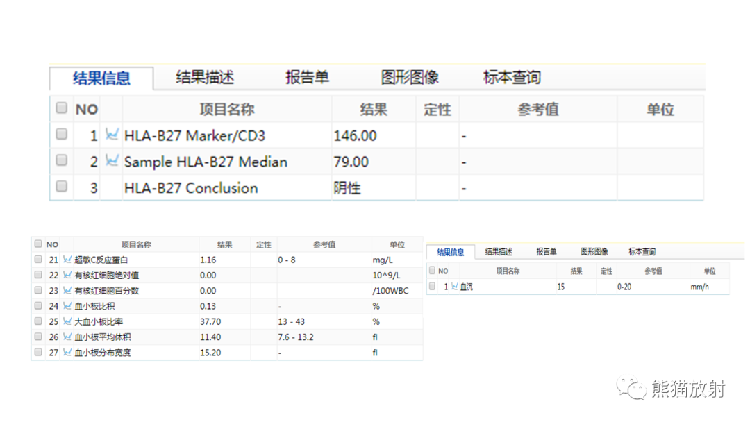 影像PPT - 【病例】SAPHO综合征2例CT及MR影像-12