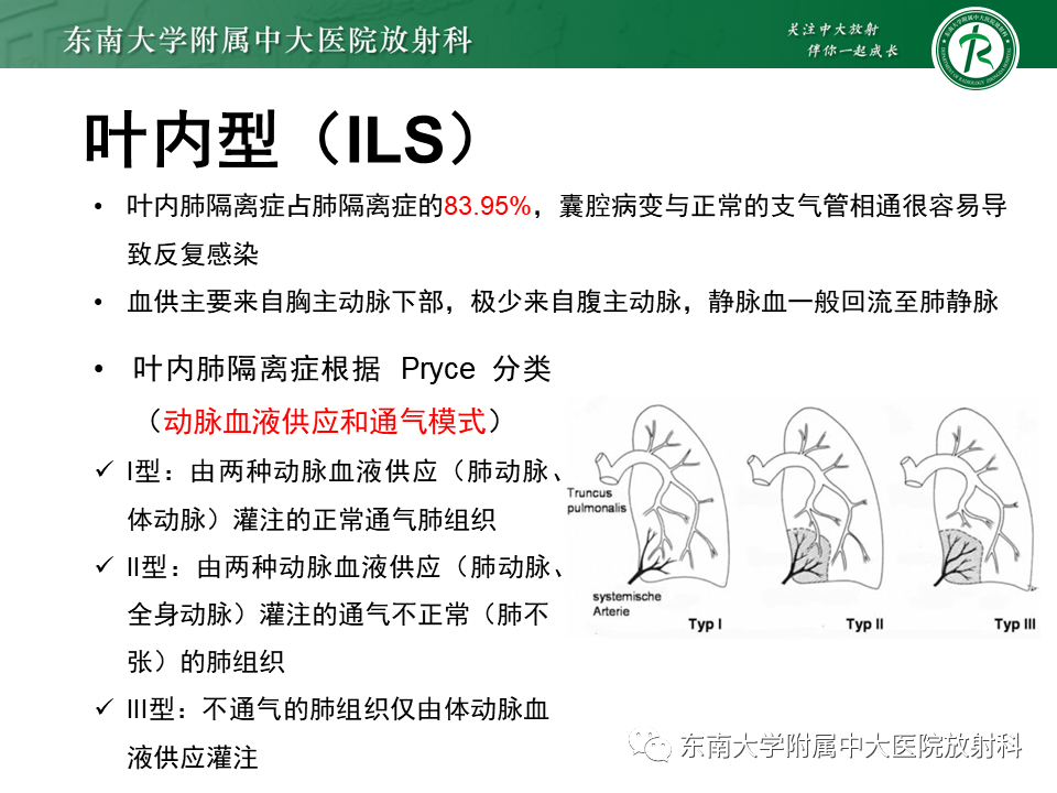 影像PPT - 【PPT】肺隔离症-7