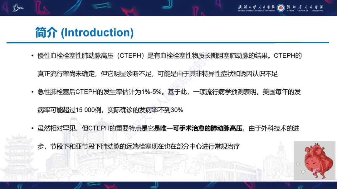 影像PPT - 【PPT】慢性血栓栓塞性肺动脉高压影像诊断-3