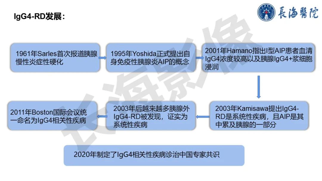 影像PPT - 【PPT】IgG4相关性疾病-3