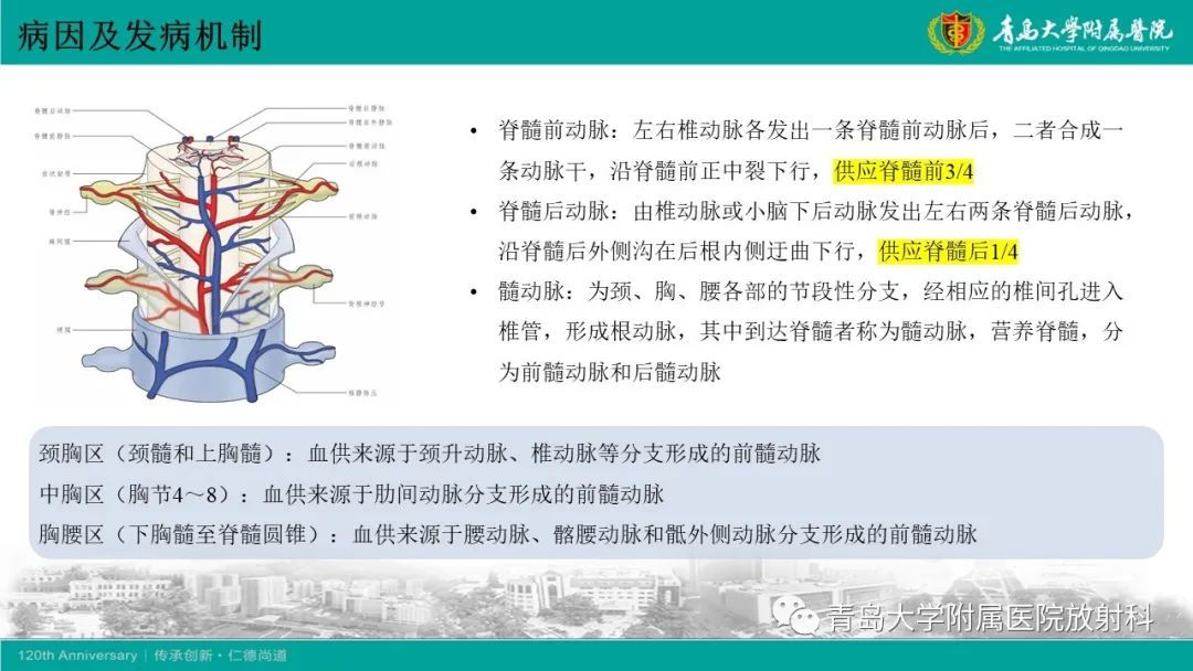 影像PPT - 【病例】脊髓亚急性联合变性1例MR影像-10