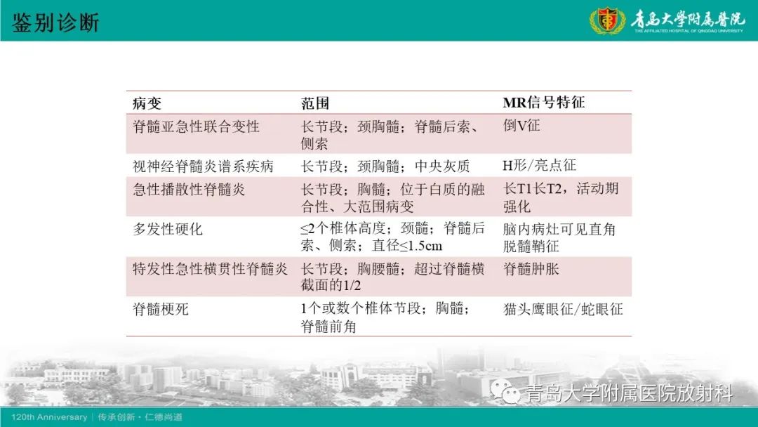 影像PPT - 【病例】脊髓亚急性联合变性1例MR影像-22
