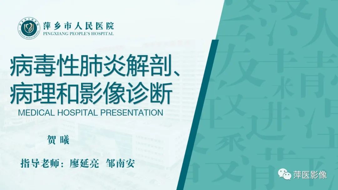 影像PPT - 【PPT】病毒性肺炎解剖、病理和影像诊断-1