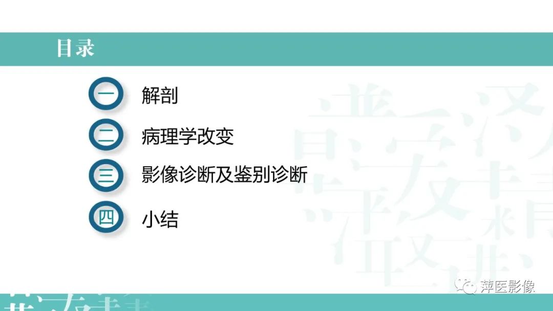 影像PPT - 【PPT】病毒性肺炎解剖、病理和影像诊断-3